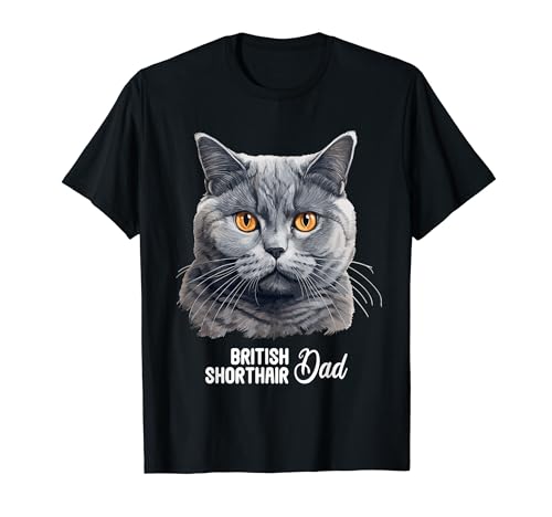 British Shorthair Cat Mom Dad Shop Britisch Kurzhaar Charakter
