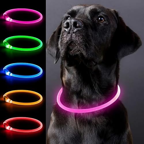 Btkviseqat Led Hundehalsband