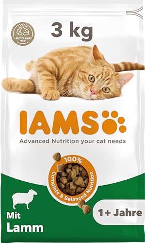 Iams Katzentrockenfutter