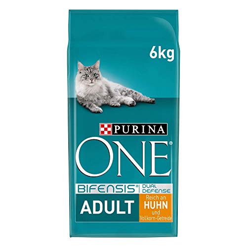 Purina One Katzentrockenfutter