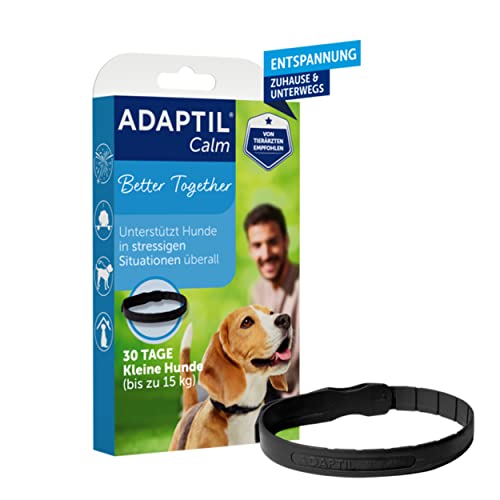 Adaptil Hund Erbricht