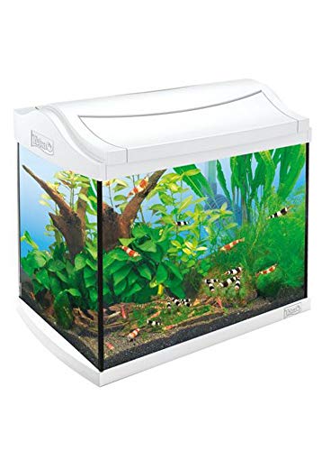 Tetra Aquarium Komplettset