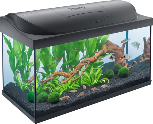 Tetra Aquarium Komplettset