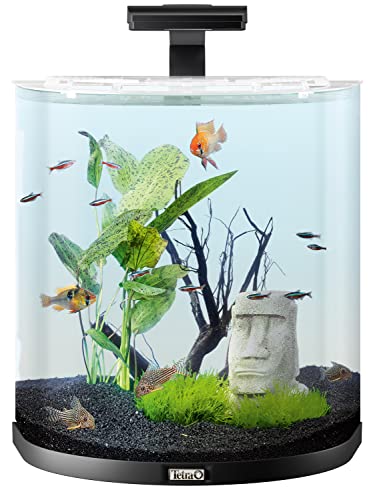 Tetra Wandaquarium