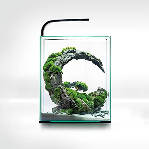 Aquael Nano Aquarium
