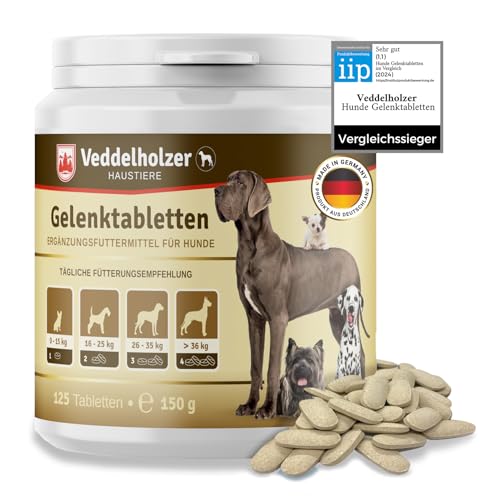 Veddelholzer Bandscheibenvorfall Hund