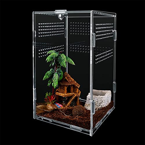 Minisoiso Paludarium