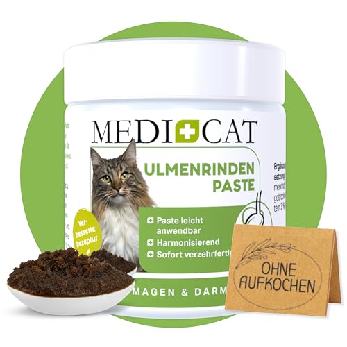 Medicat Hund Erbricht