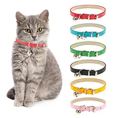 Tao Pipe Halsband Für Katzen