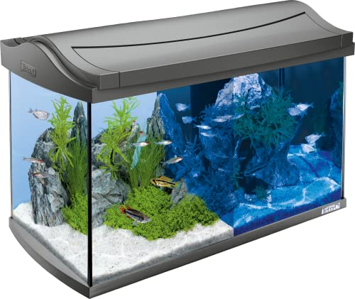 Tetra Aquarium Mit Zubehör