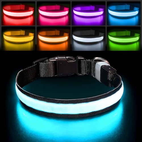 Pceotllar Led Hundehalsband