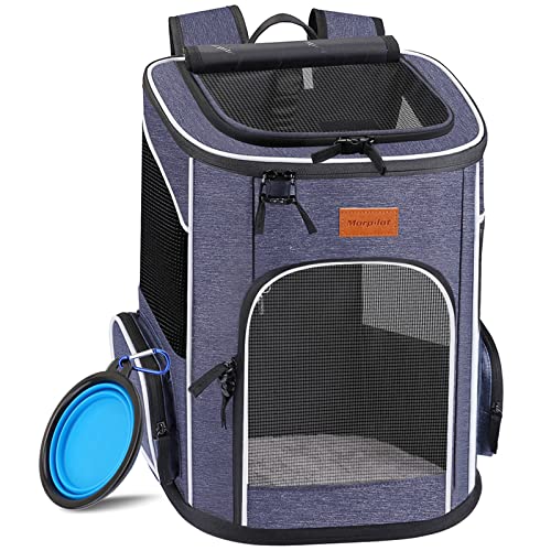 Morpilot Katzenrucksack