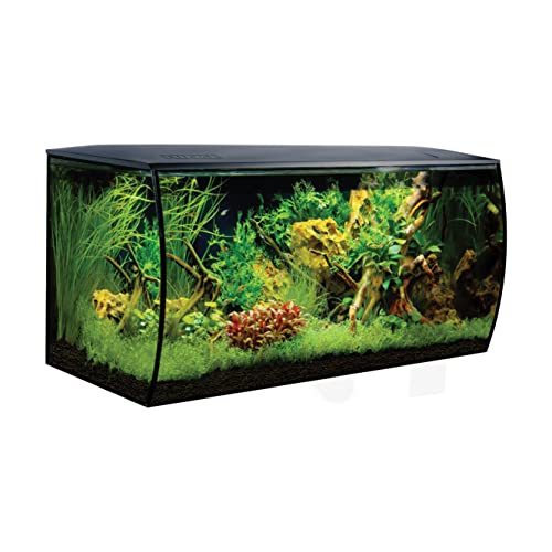 Fluval Aquarium Komplettset