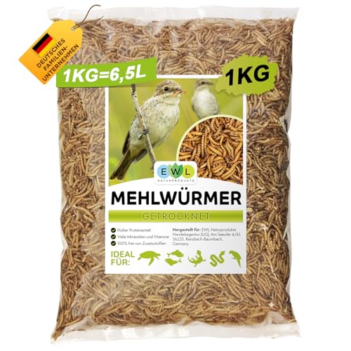 Ewl Naturprodukte Mehlwürmer Getrocknet