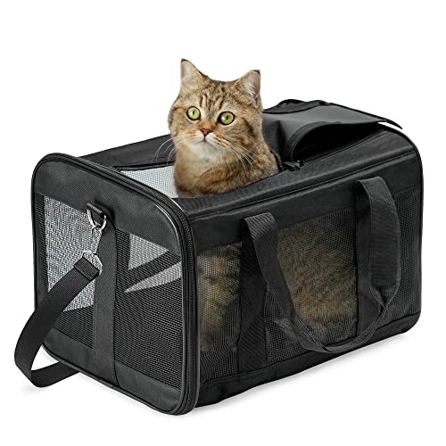 Hitslam Transportbox Für Katzen
