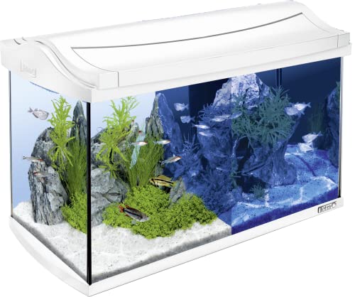 Tetra Aquarium Komplettset