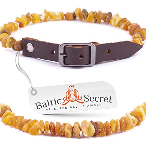 Baltic Secret Bernsteinkette Hund