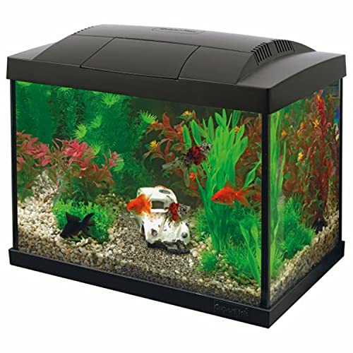 Superfish Aquarium Komplettset