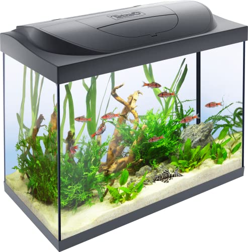 Tetra Aquarium Mit Zubehör