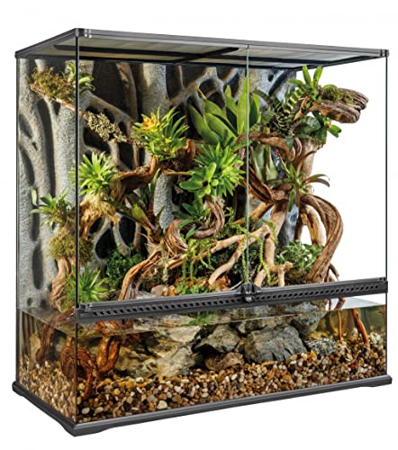 Exo Terra Paludarium