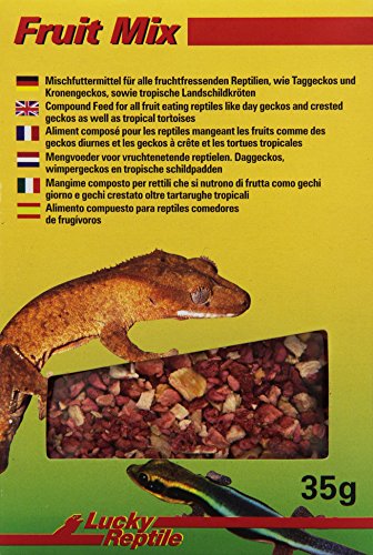 Lucky Reptile Terrarium Für Kronengeckos